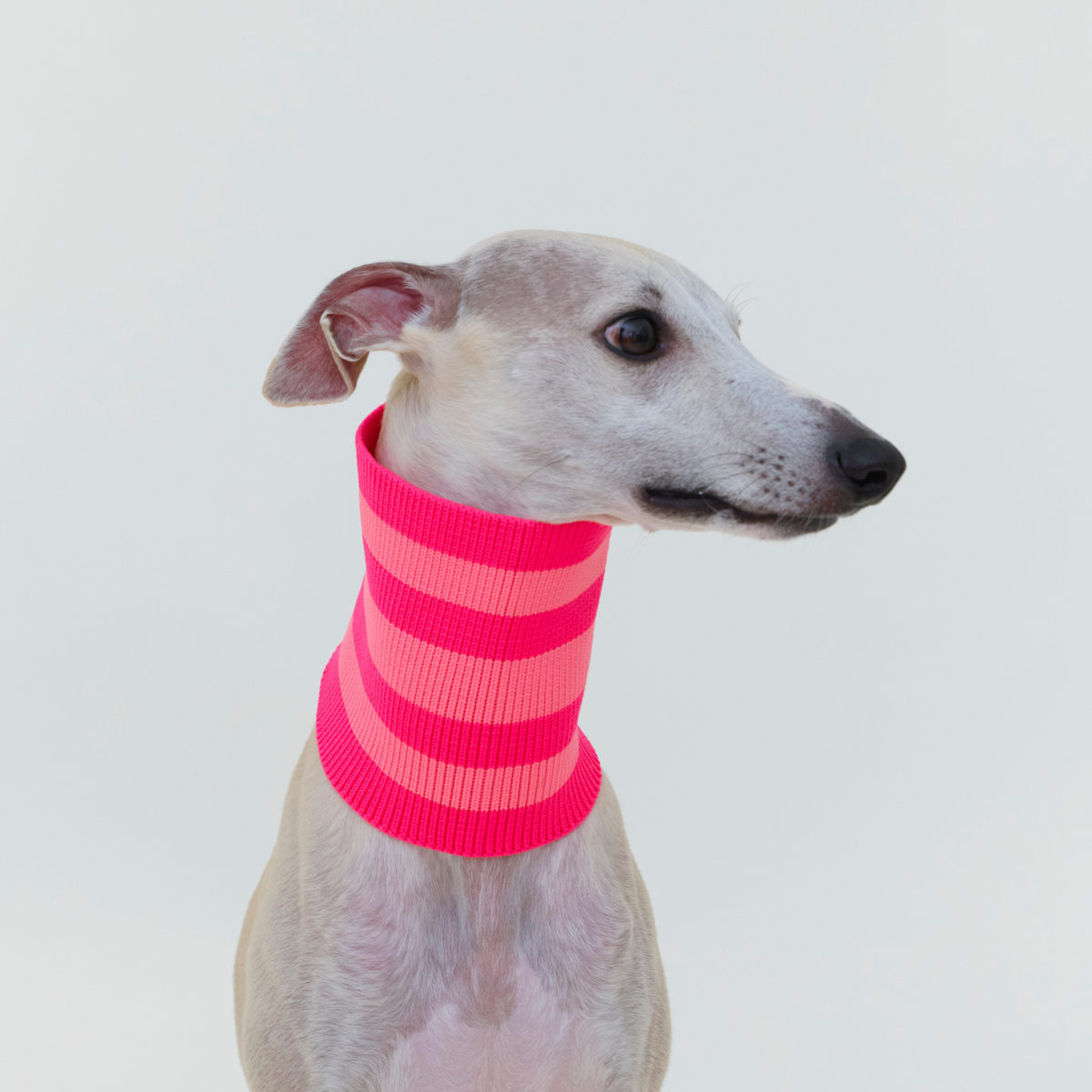 LUMIIES – Glow Loop 2.0 Hundeschal Pink Parade