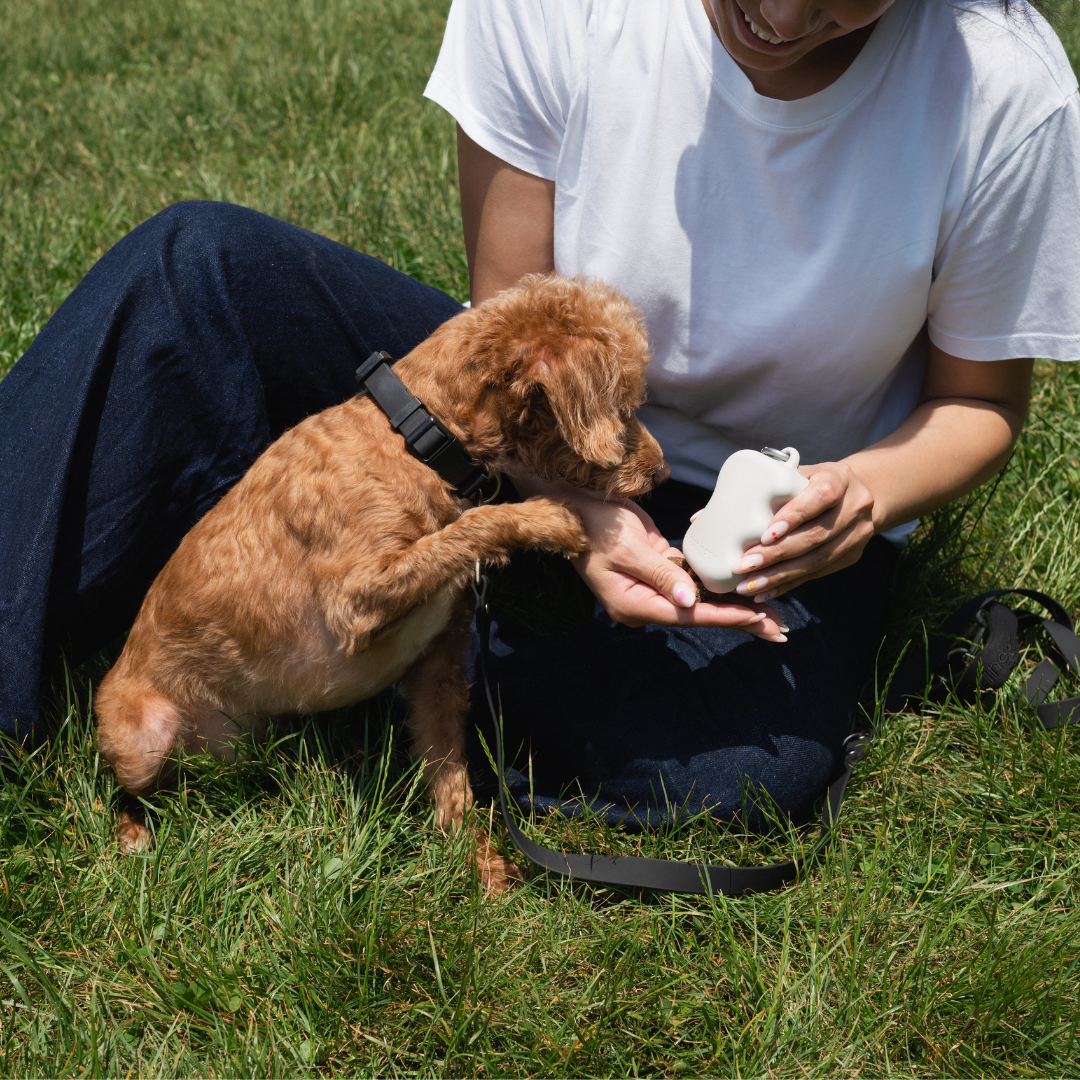 SPRINGLAND PETS - Distributore di crocchette in silicone