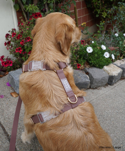 SUNNY TAILS - Wasserdichtes Hundegeschirr - Espresso Brown - OSSO BLU
