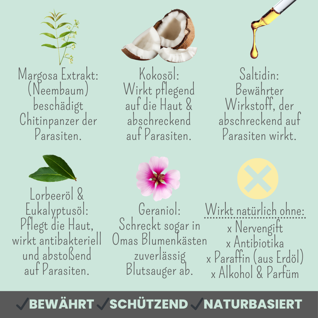 NOMS+ - Zeckenspray für Hunde – Natürlicher Schutz gegen Zecken, Flöhe, Milben & Mücken - OSSO BLU