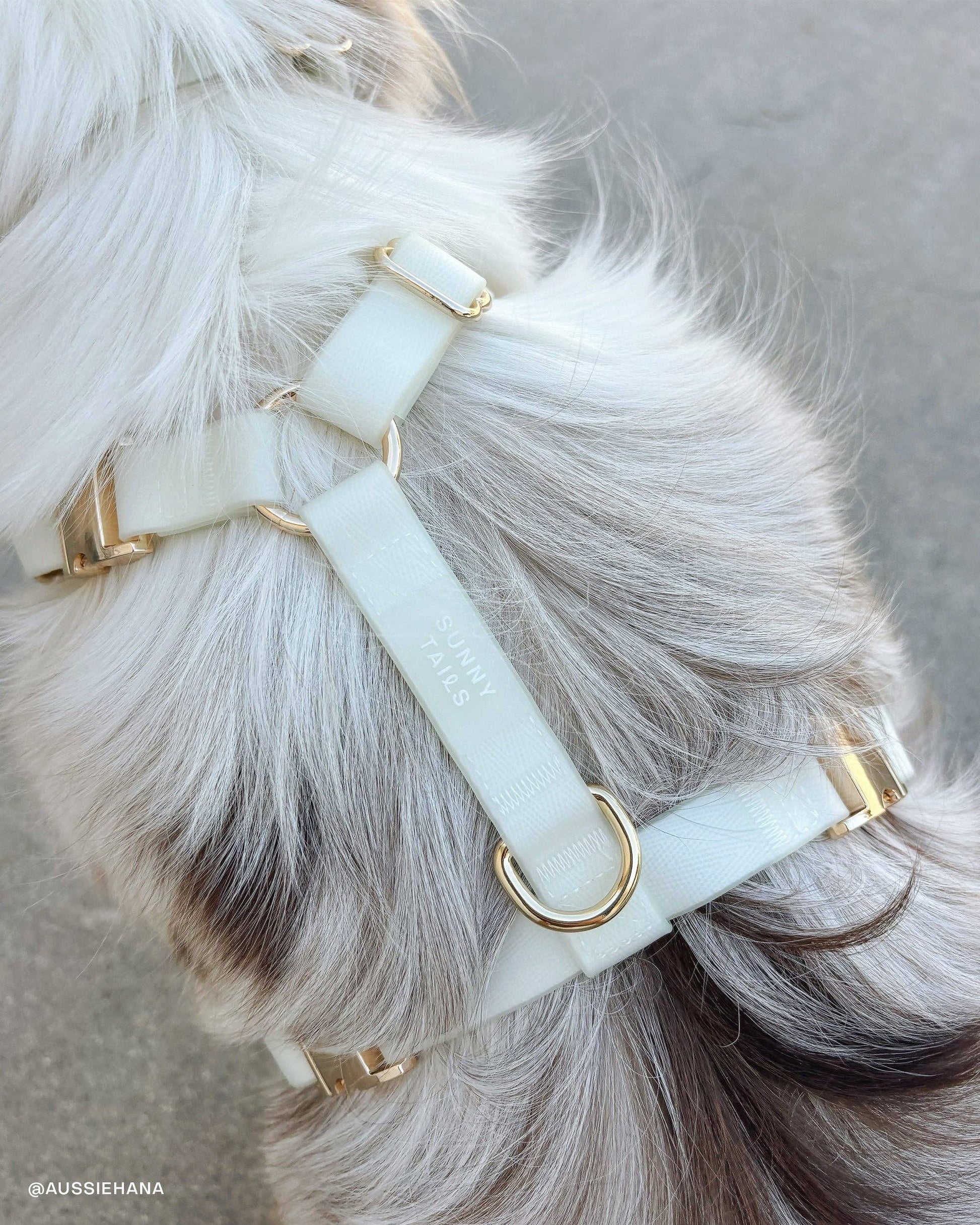 SUNNY TAILS - Cloud Lite Hundegeschirr - Glow in the Dark - OSSO BLU