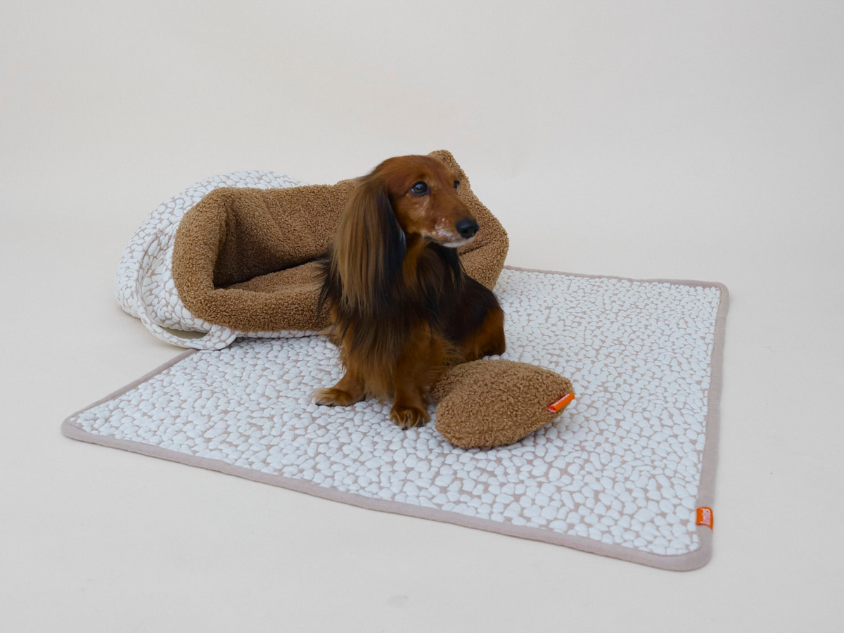 LUMIIES - THE STUDIO BLANKET – Ultraweiche Hundedecke | Cloudy Pebble