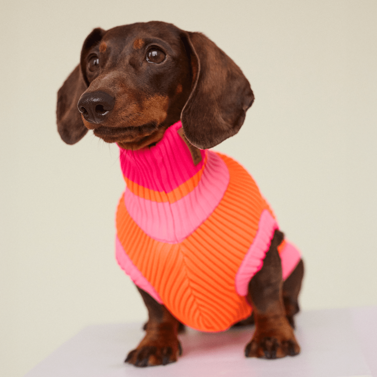 LUMIIES – Glow Jumper 2.0 Hundepullover Sunny Tangerine