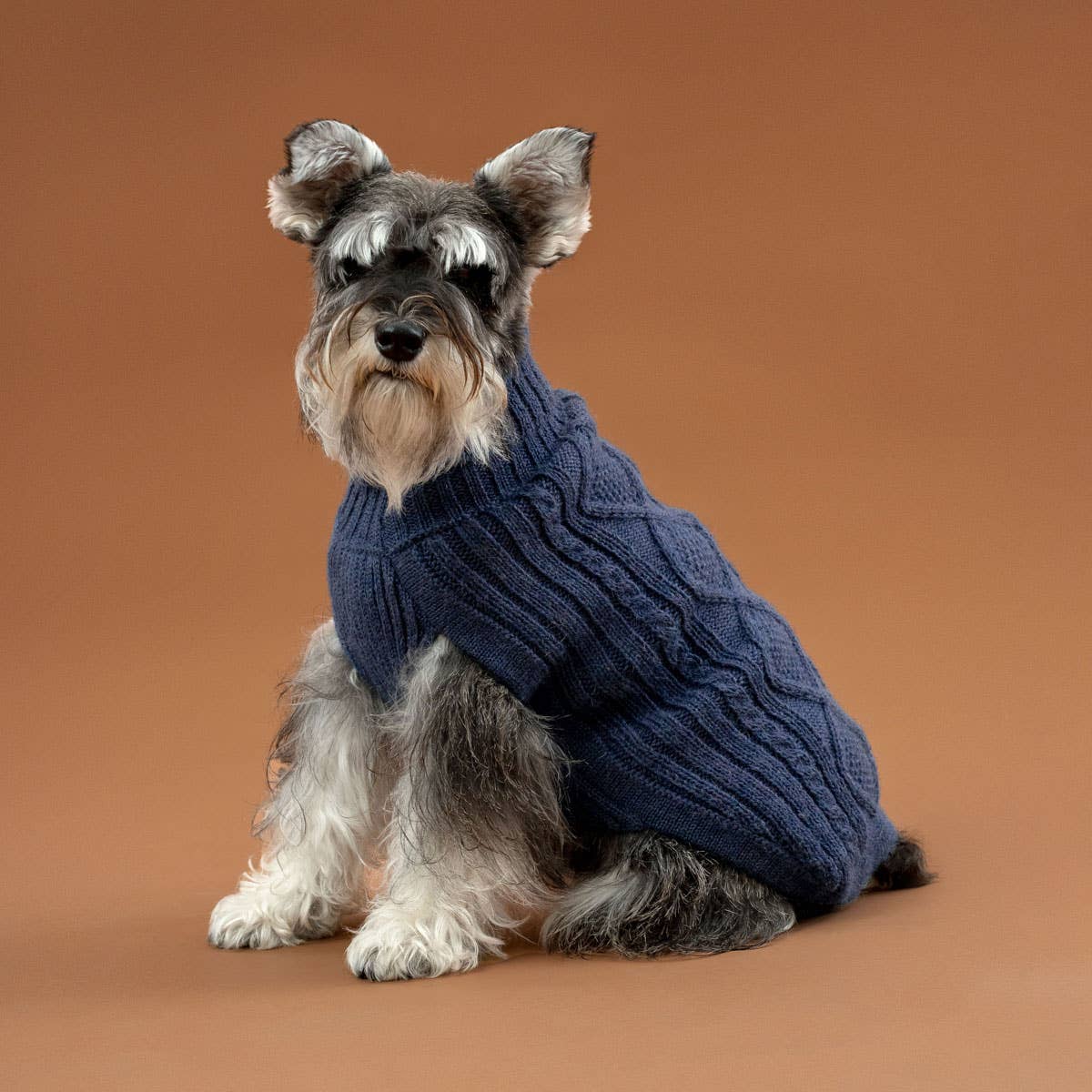ALQO WASI – Aran Knit Alpaka-Hundepullover Königsblau