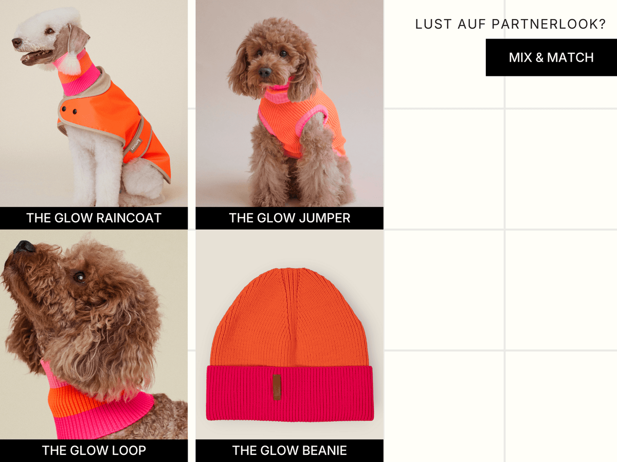 LUMIIES – Glow Jumper 2.0 Hundepullover Sunny Tangerine