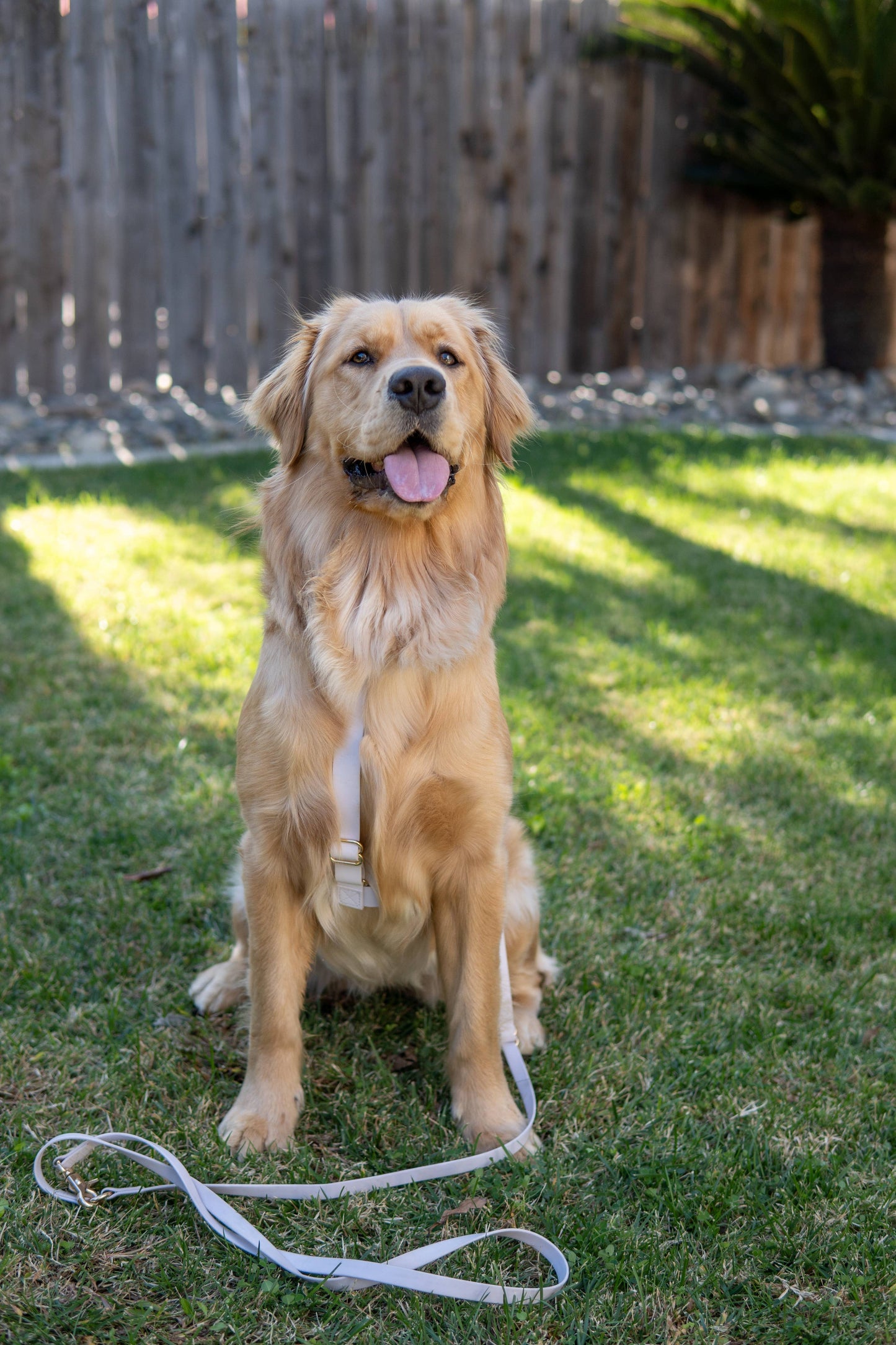 SUNNY TAILS - Wasserdichtes Hundegeschirr -  Lavender Haze - OSSO BLU