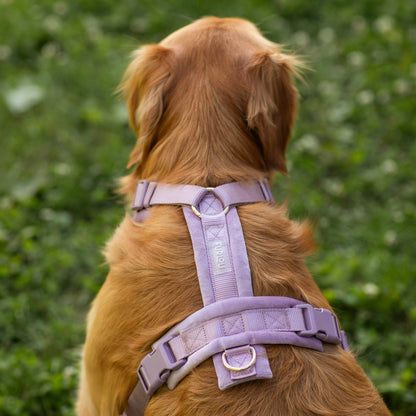 FURLOU – Samt Hundegeschirr Lilac