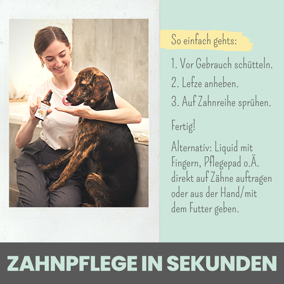 NOMS+ - Dentalspray für Hunde & Katzen – Natürliche Zahnpflege gegen Zahnstein & Mundgeruch - OSSO BLU