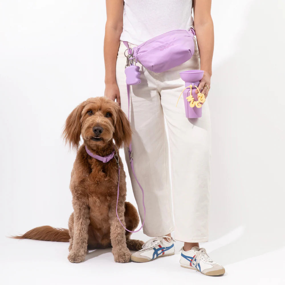 SPRINGLAND PETS - Verstellbarer Silikon Charm Strap für Hundezubehör - OSSO BLU