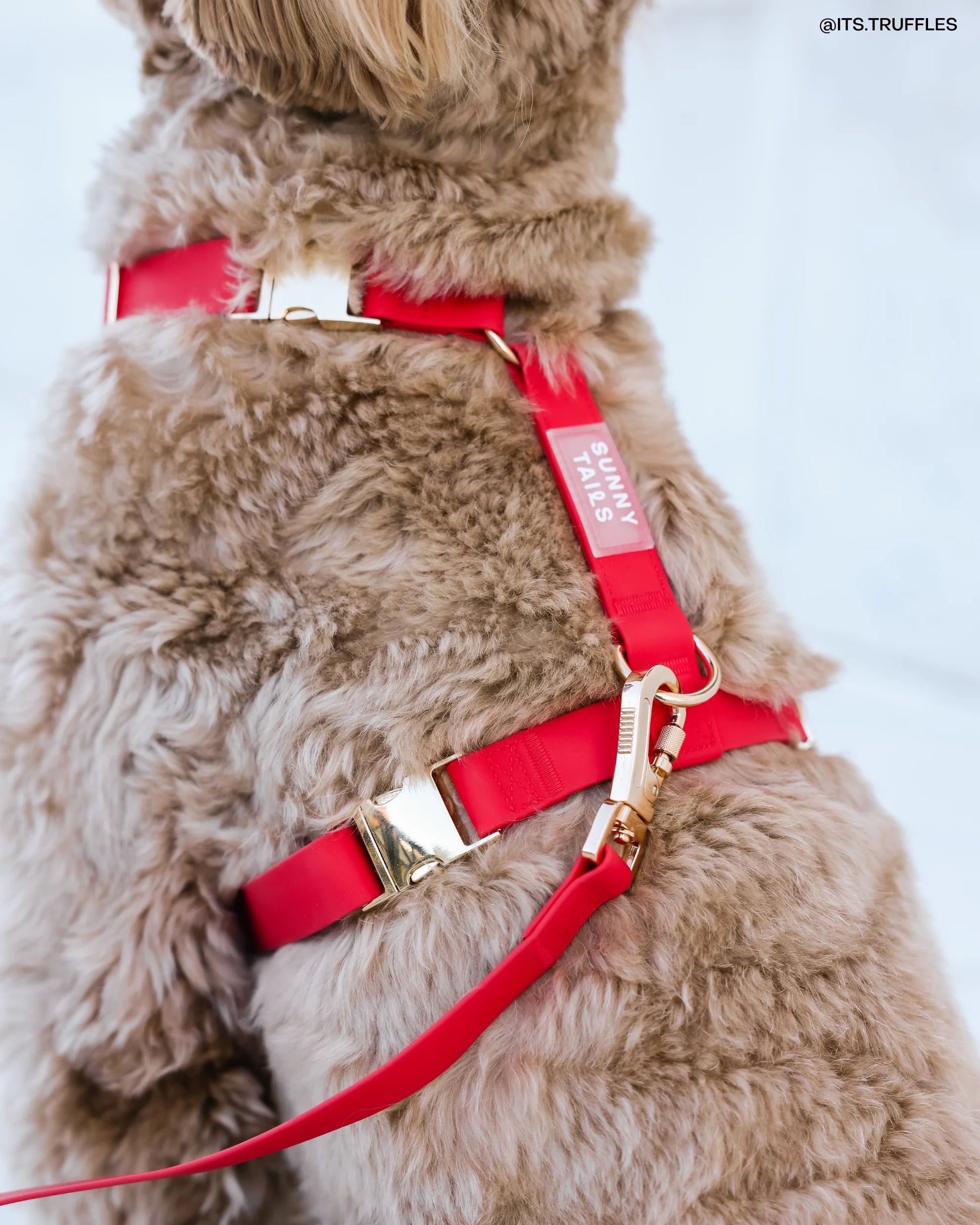 SUNNY TAILS - Wasserdichtes Hundegeschirr - Cherry Red - OSSO BLU