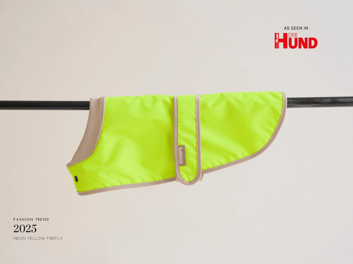 LUMIIES – Glow Raincoat Mini-Fit Hunderegenmantel Neongelb