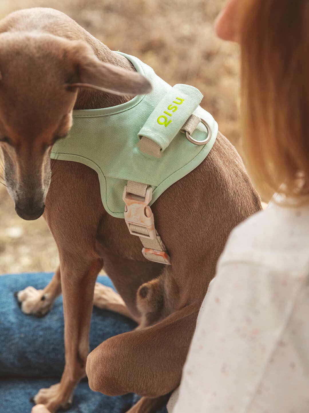 QISU - Pettorina Hug - Ergonomica e sostenibile per il tuo cane