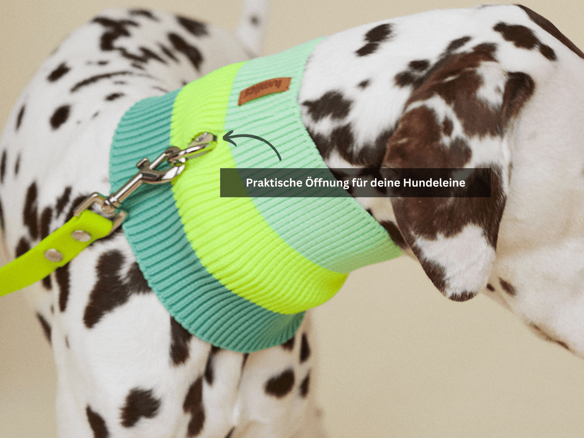 LUMIIES – Glow Loop 2.0 Hundeschal Neon Matcha