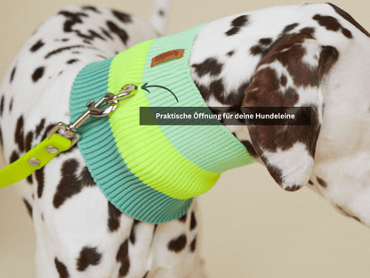 LUMIIES – Glow Loop 2.0 Hundeschal Neon Matcha