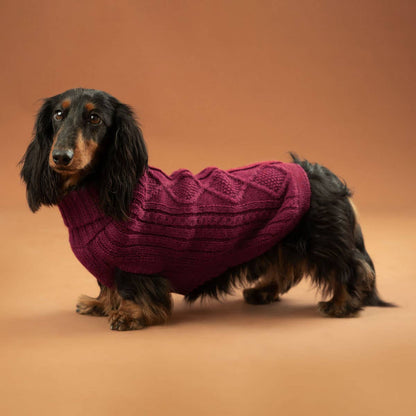 Alqo Wasi - Alqo Wasi Aran-Strick Alpaka-Hundepullover: XS / Red Wine - OSSO BLU