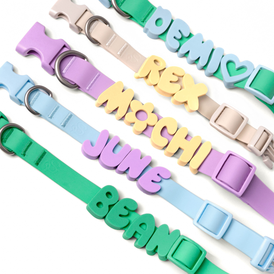 Springland Pets - Wasserdichtes & Verstellbares Hundehalsband (6er Pack) - OSSO BLU