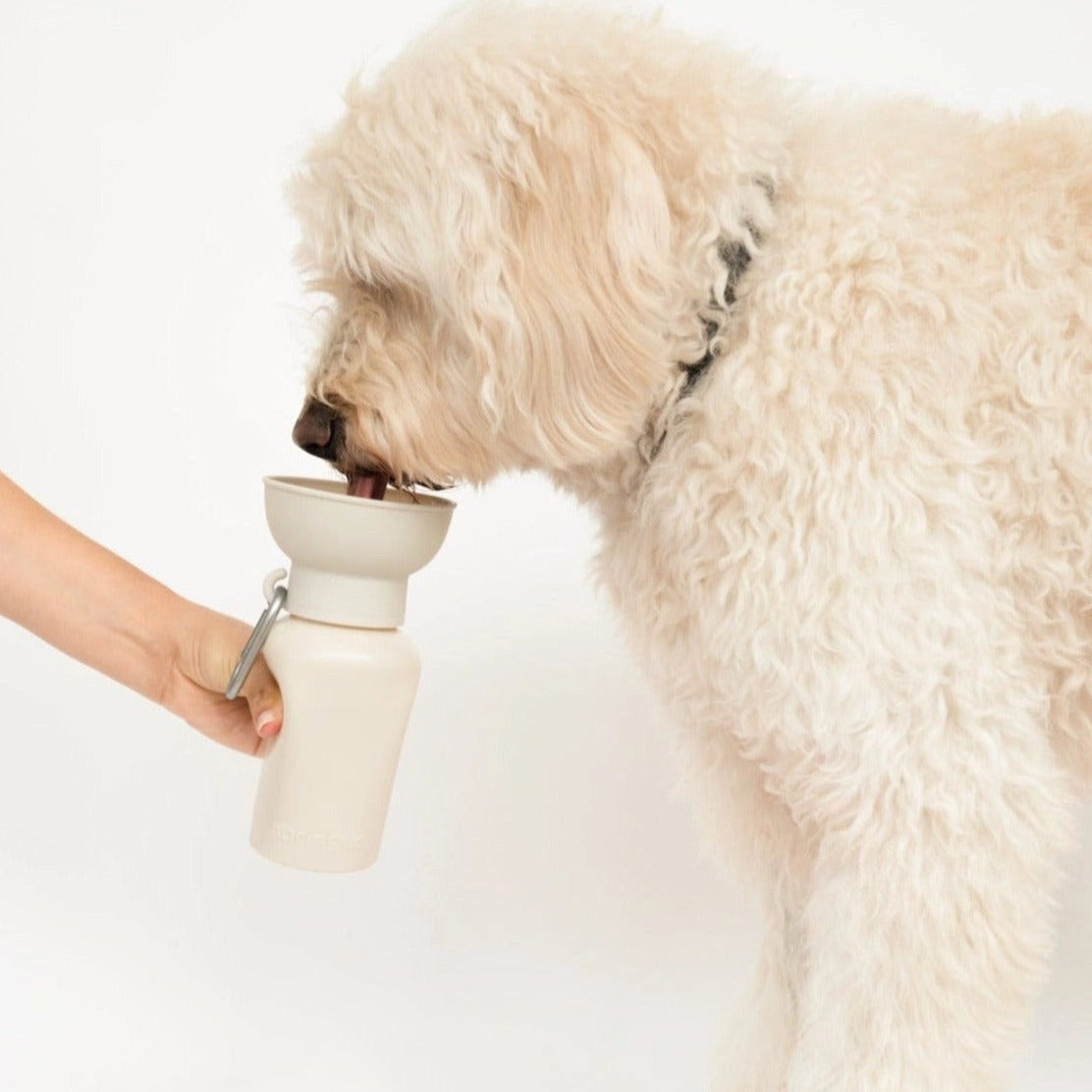 SPRINGLAND PETS - Borraccia da viaggio per cani | Flip 590ml