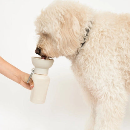 SPRINGER - Reisetrinkflasche für Hunde | Flip 590ml - OSSO BLU