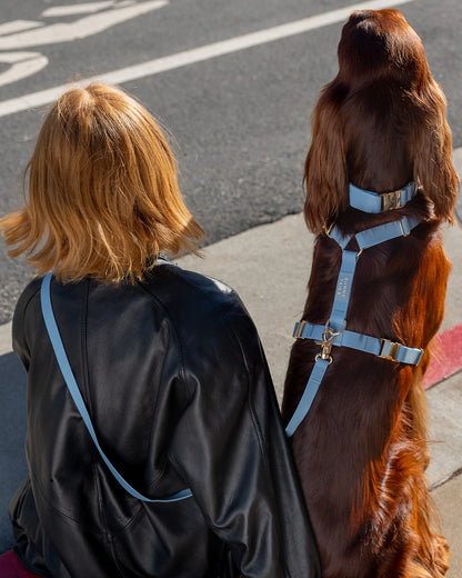 SUNNY TAILS - Wasserdichtes Hundegeschirr - Malibu Blue - OSSO BLU