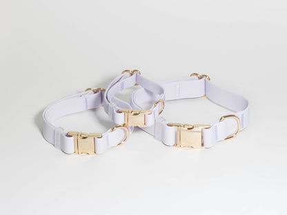 SUNNY TAILS - Wasserdichtes Hundehalsband - Lavender Haze - OSSO BLU