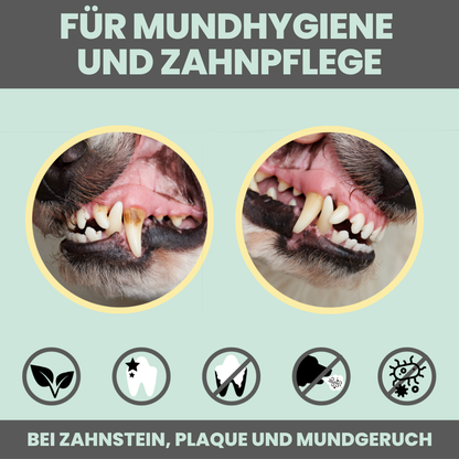 NOMS+ - Dentalspray für Hunde & Katzen – Natürliche Zahnpflege gegen Zahnstein & Mundgeruch - OSSO BLU