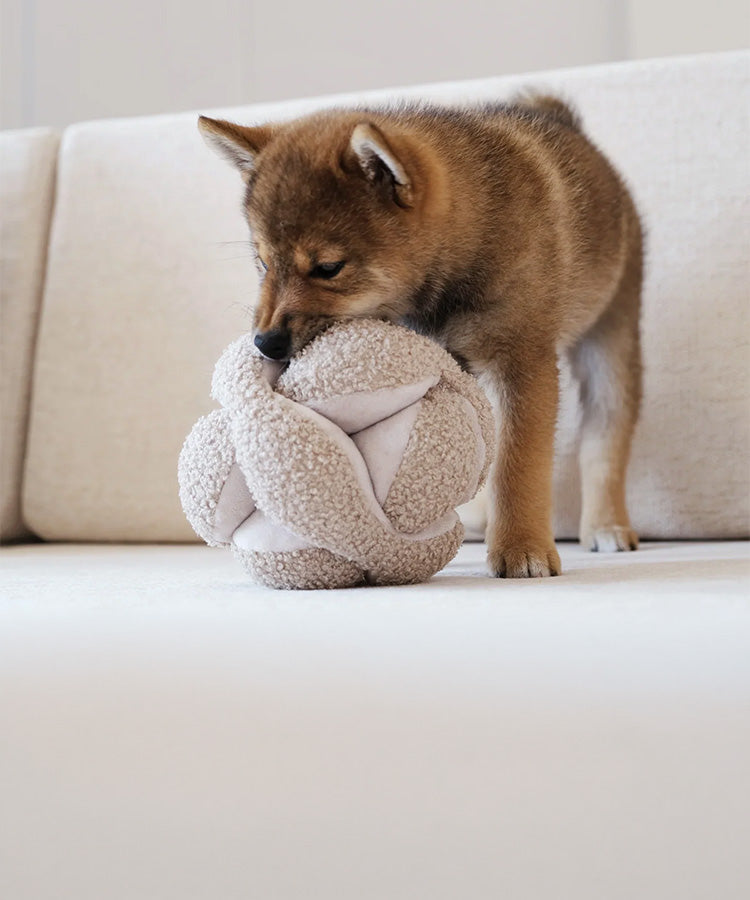 LAMBWOLF COLLECTIVE