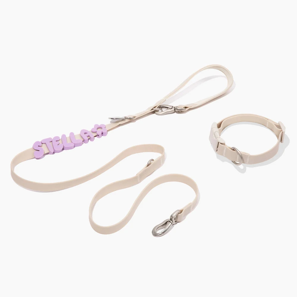 SPRINGLAND PETS – Wasserdichtes Hundeleine & Halsband Set - OSSO BLU