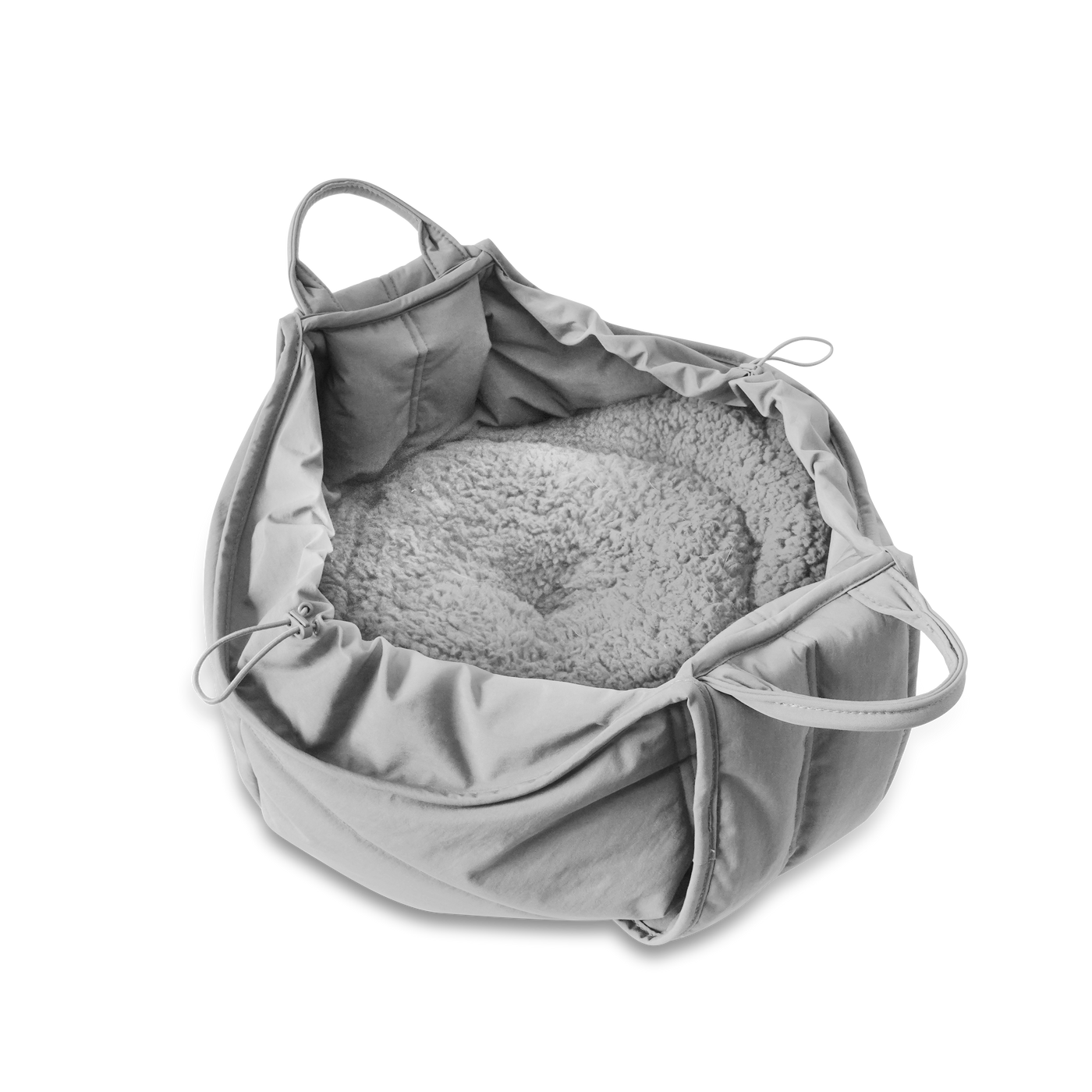 LAMBWOLF COLLECTIVE - OLLA Borsa Trasportino per Cani - Koala