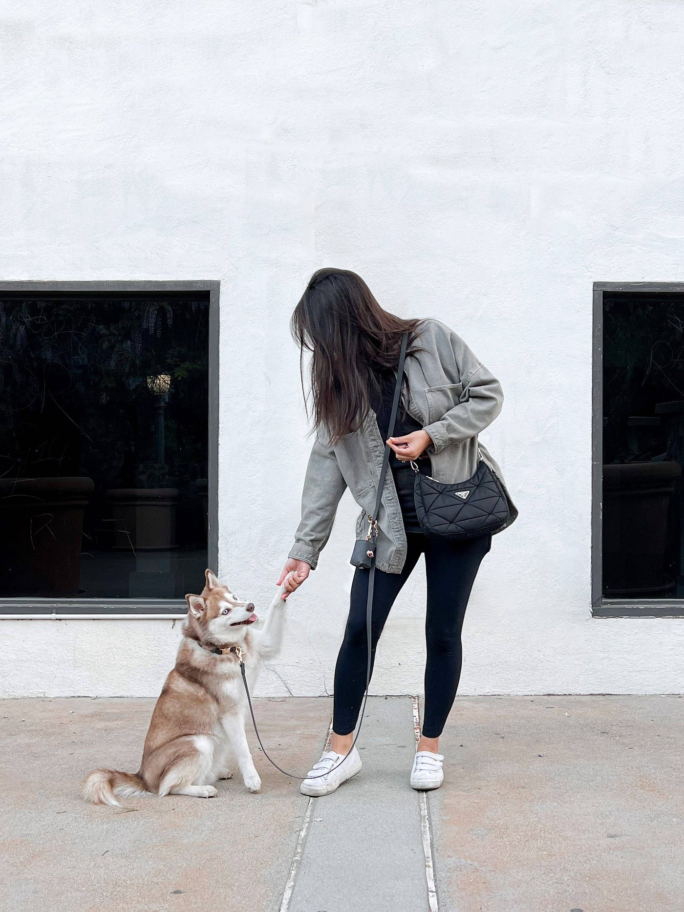 SUNNY TAILS - Guinzaglio per cani convertibile e multifunzionale 4 in 1 - Ember Black