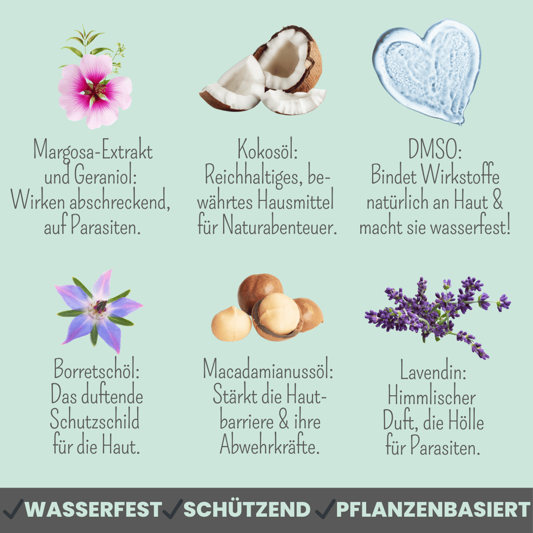 NOMS+ - Wasserfestes Spot-on für Hunde gegen Zecken, Flöhe, Milben & Mücken - OSSO BLU