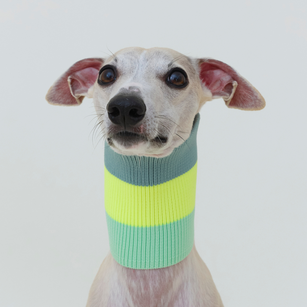 LUMIIES – Glow Loop 2.0 Hundeschal Neon Matcha
