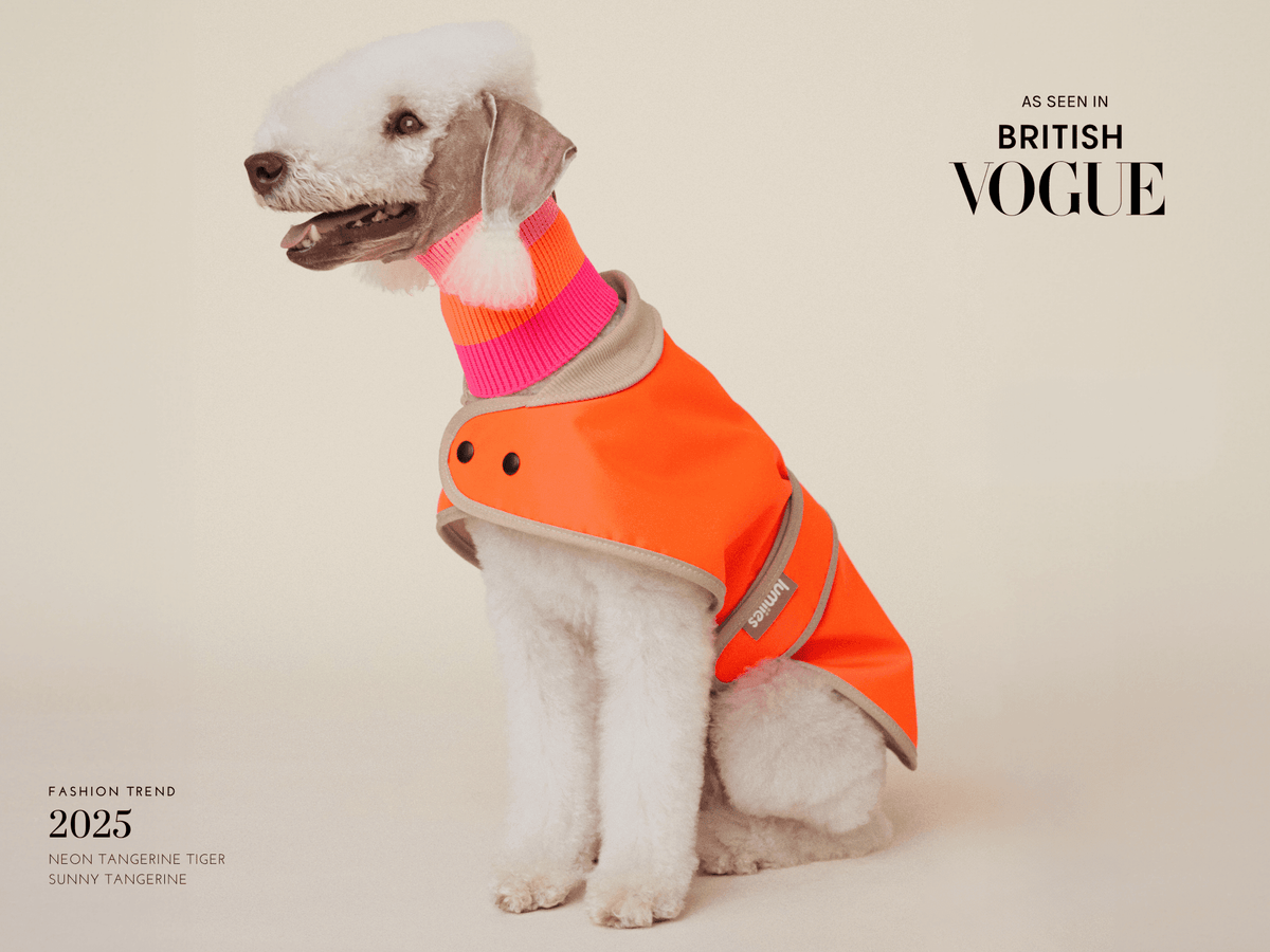 LUMIIES – Glow Raincoat Mini-Fit Hunderegenmantel Neonorange