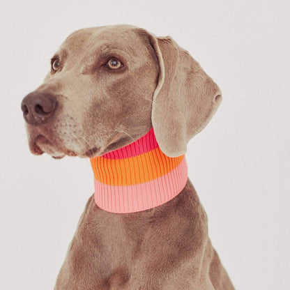 LUMIIES – Glow Loop 2.0 Hundeschal Sunny Tangerine