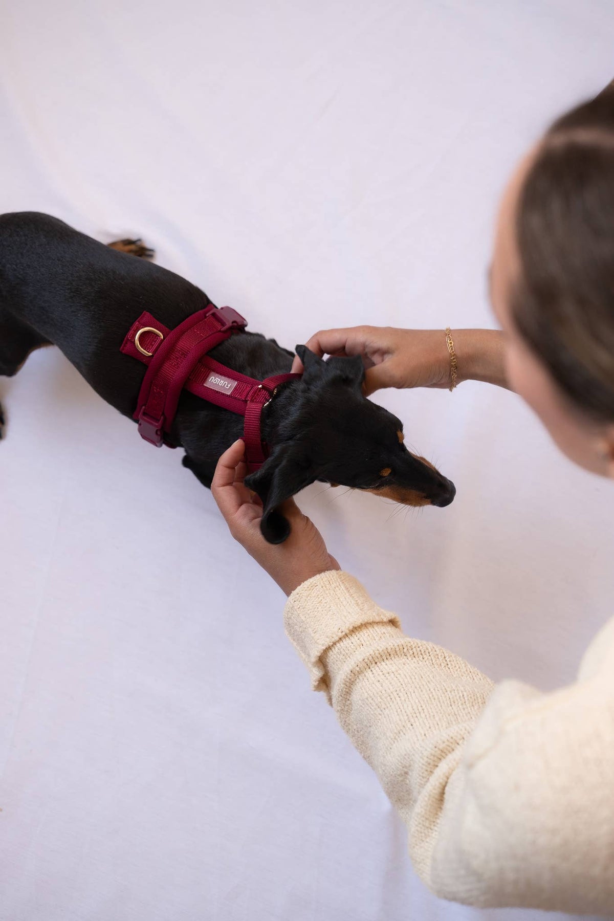 FURLOU – Komfort Hundegeschirr Bordeaux