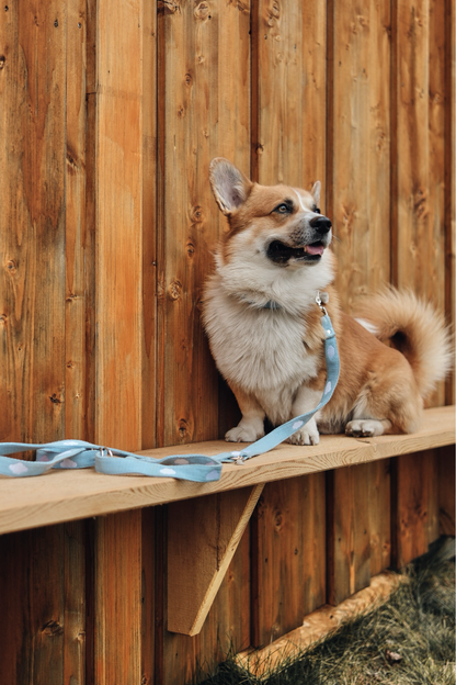 FUSSI DOGS - Hundehalsband Cloud Sky Blue - OSSO BLU