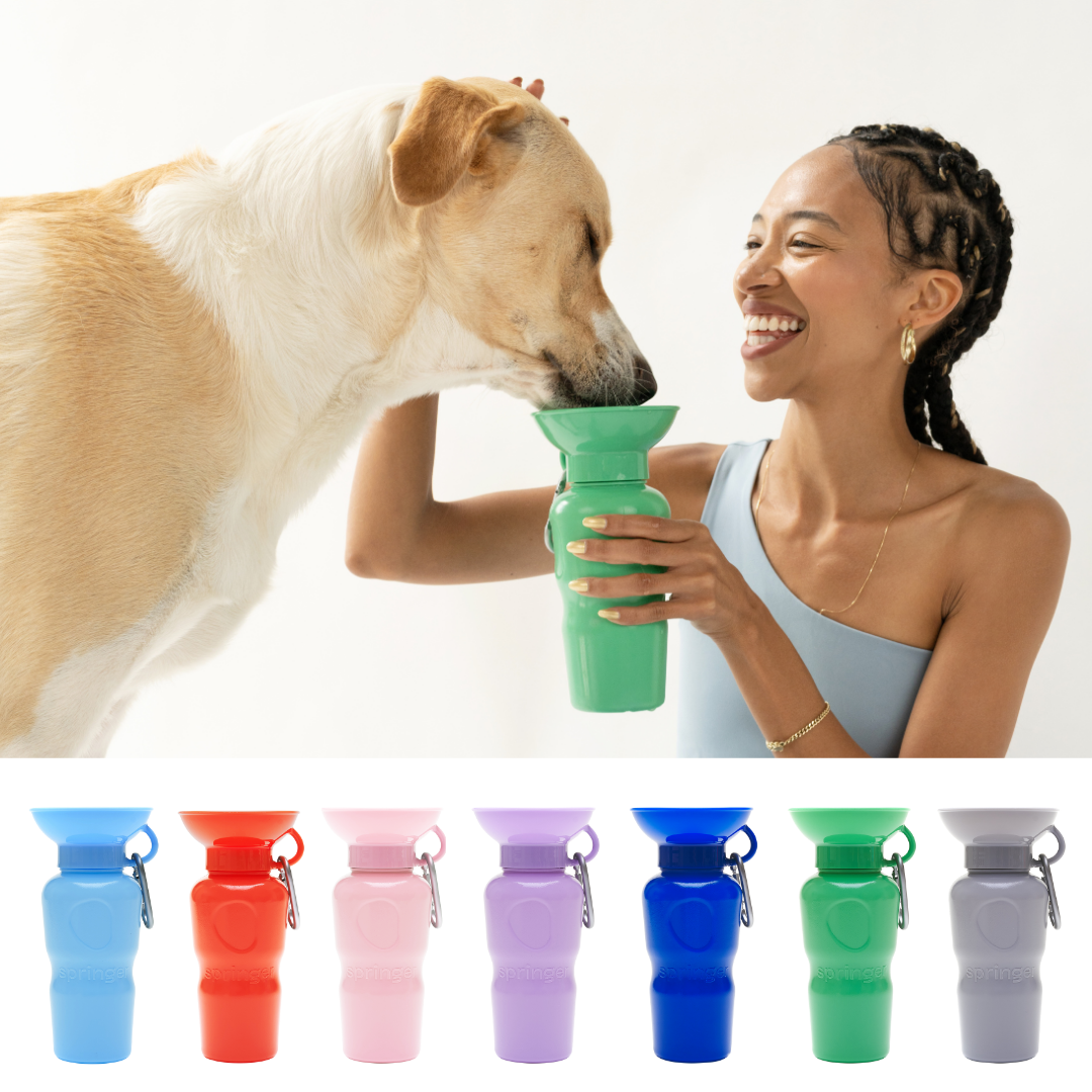 SPRINGLAND PETS – Borraccia da viaggio Classic per cani 650 ml (senza ciotola pieghevole in silicone)