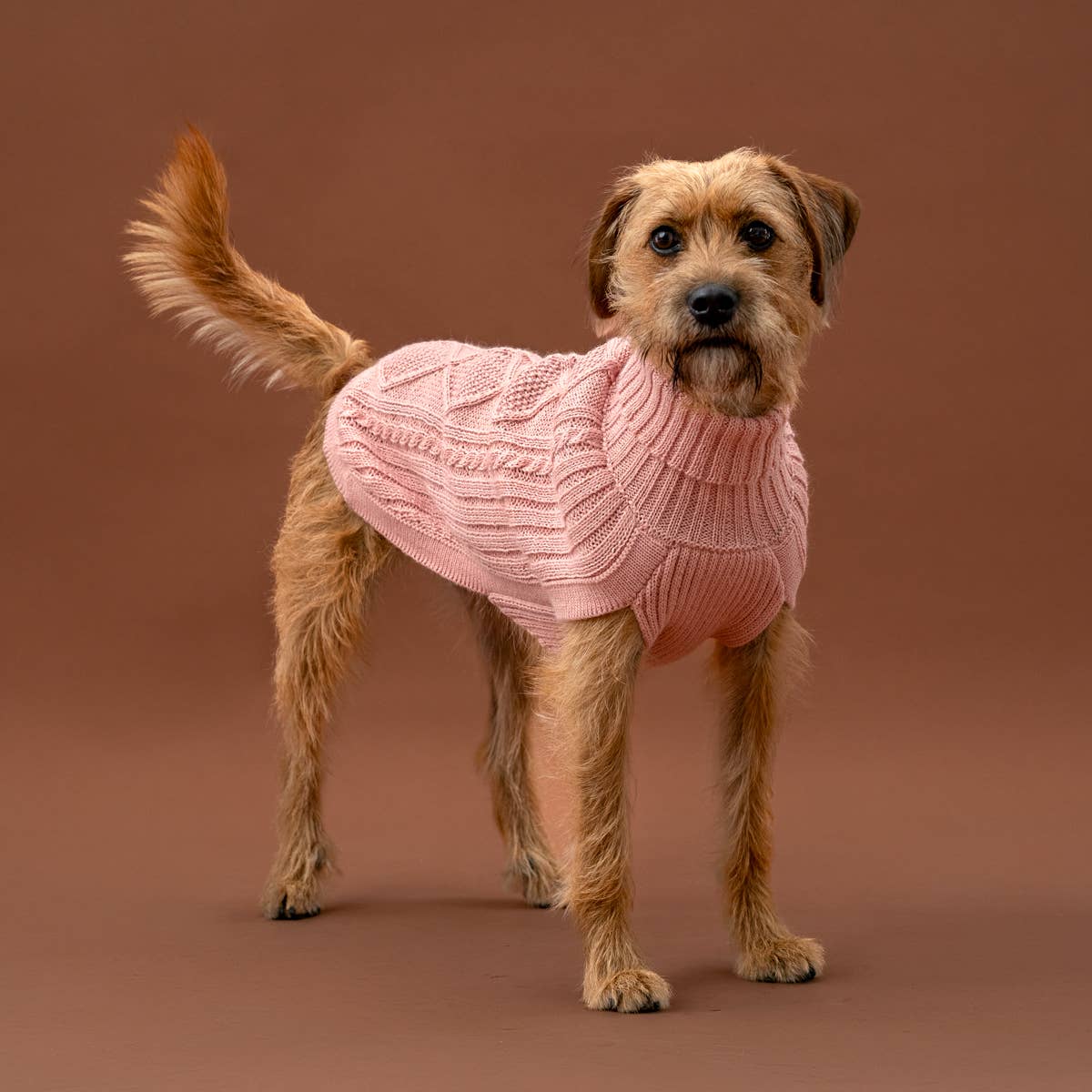 Alqo Wasi - Alqo Wasi Aran-Strick Alpaka-Hundepullover: XS / Lavender - OSSO BLU