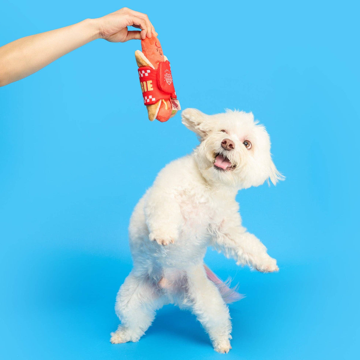 the furryfolks - Hot Doggie Nosework-Spielzeug - OSSO BLU