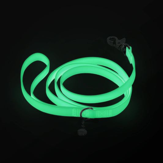 SUNNY TAILS - Wasserdichte Hundeleine - Glow in the Dark - OSSO BLU