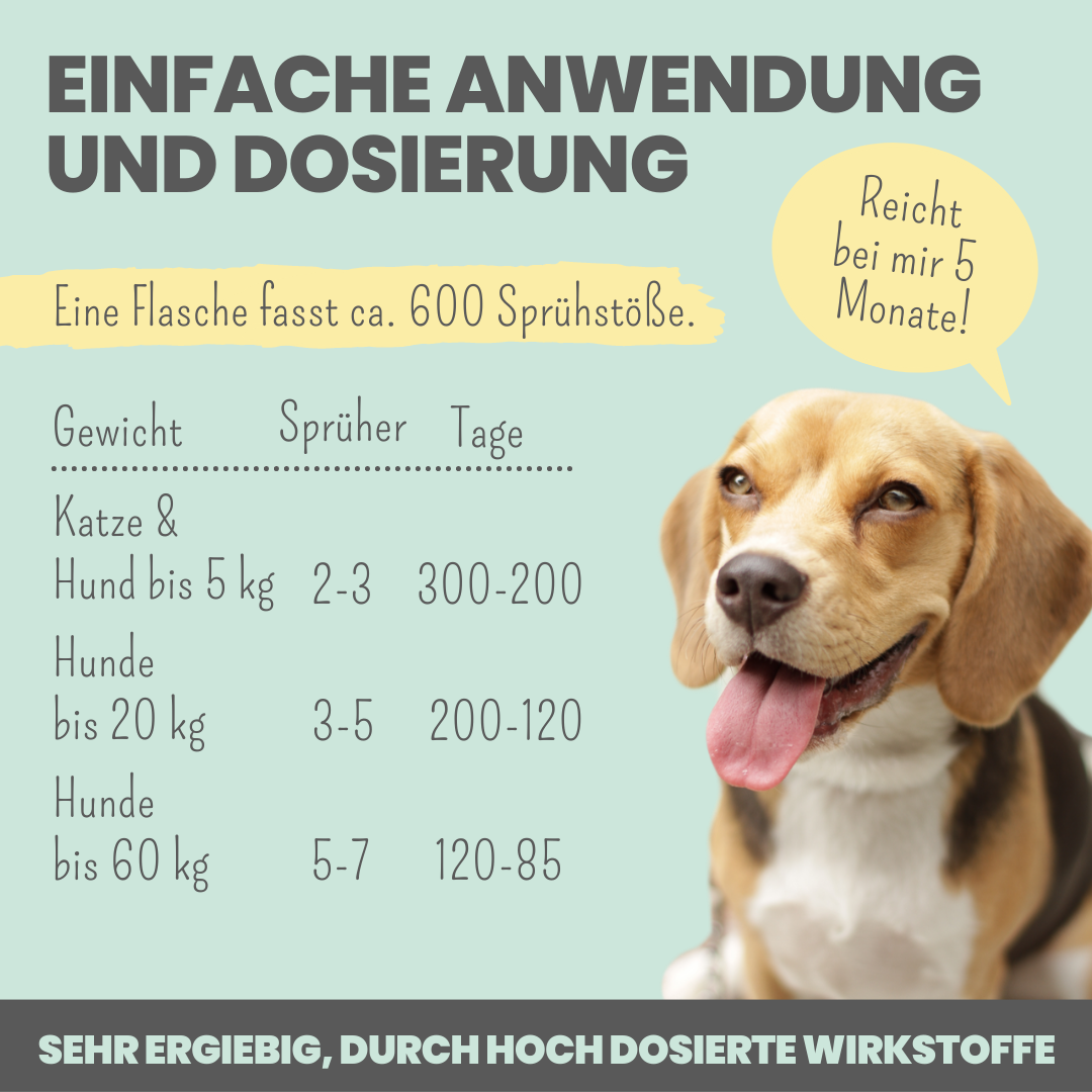 NOMS+ - Dentalspray für Hunde & Katzen – Natürliche Zahnpflege gegen Zahnstein & Mundgeruch - OSSO BLU