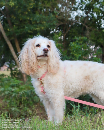SUNNY TAILS - Wasserdichtes Hundegeschirr - Perfect Pink - OSSO BLU