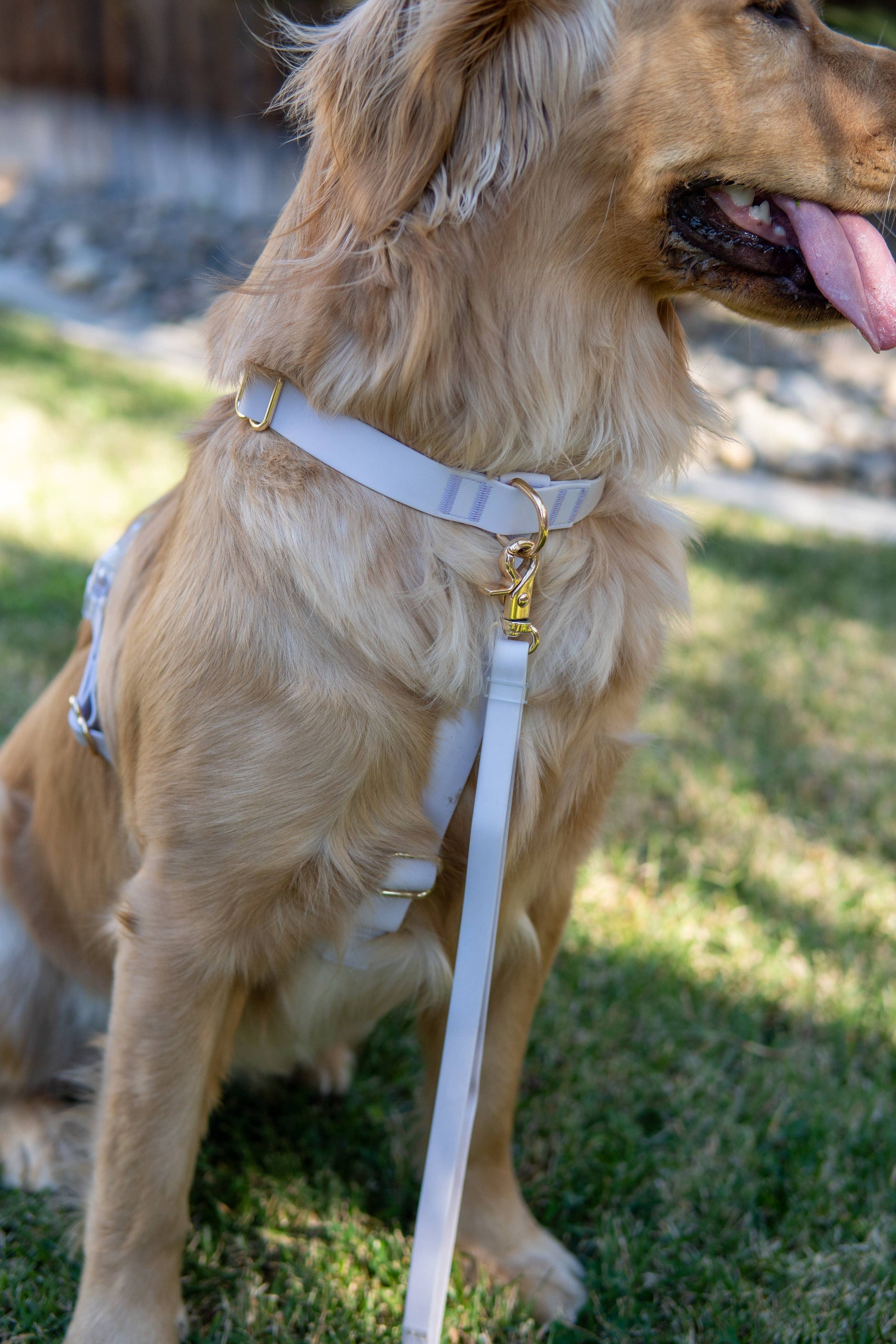 SUNNY TAILS - Wasserdichtes Hundegeschirr -  Lavender Haze - OSSO BLU