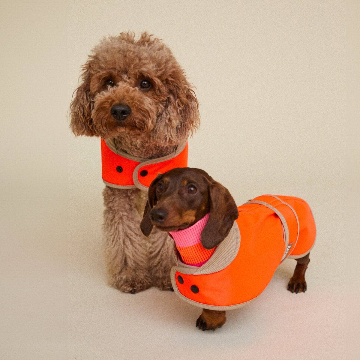 LUMIIES – Glow Raincoat Mini-Fit Hunderegenmantel Neonorange
