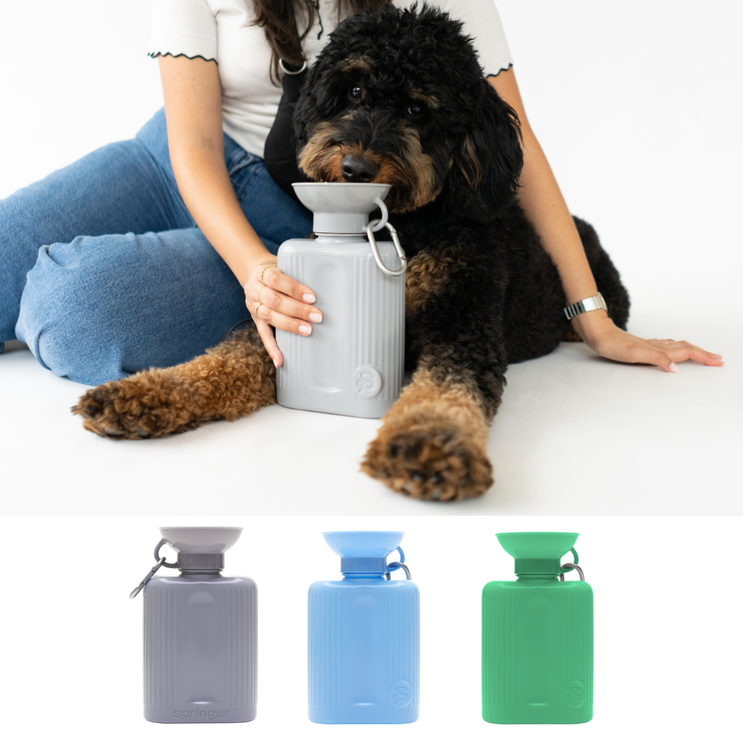 SPRINGLAND PETS - Borraccia da viaggio per cani Growler 1,3 L (senza ciotola pieghevole in silicone)