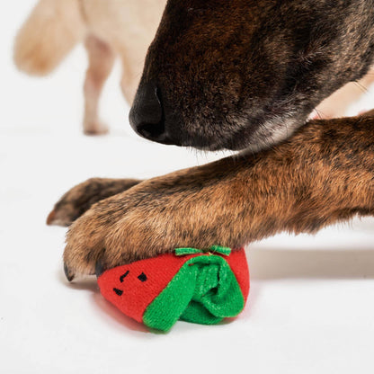 the furryfolks - Cherry Tomato Such- und Zerrspielzeug für Hunde - OSSO BLU