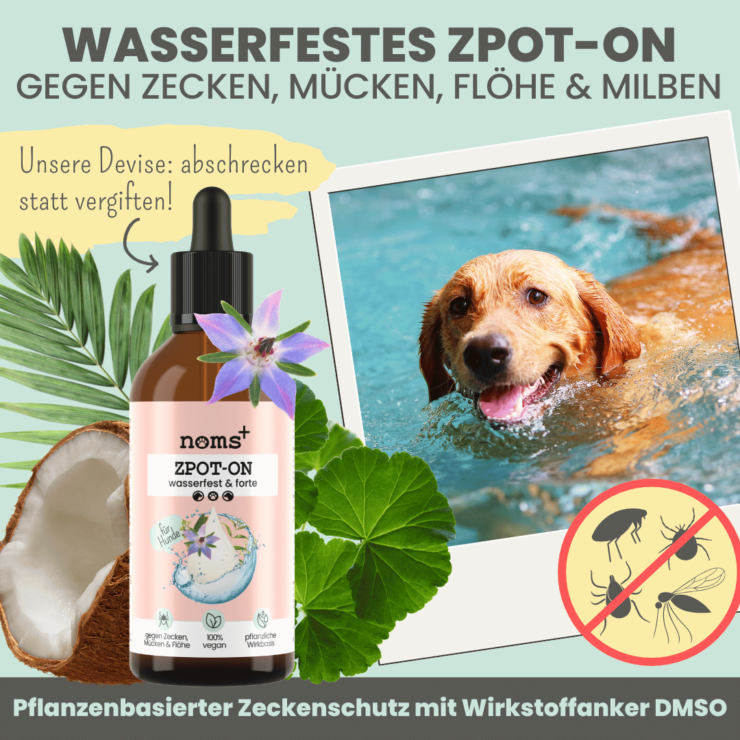 NOMS+ - Wasserfestes Spot-on für Hunde gegen Zecken, Flöhe, Milben & Mücken - OSSO BLU