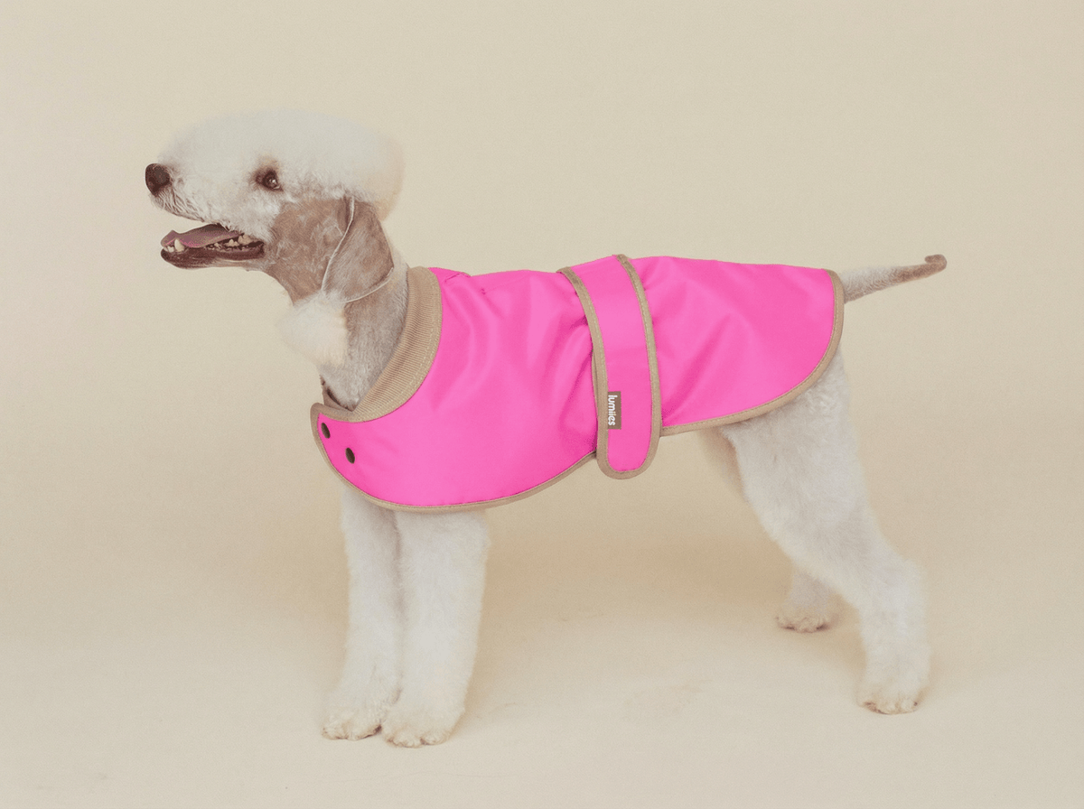 LUMIIES – Glow Raincoat Mini-Fit Hunderegenmantel Neonpink