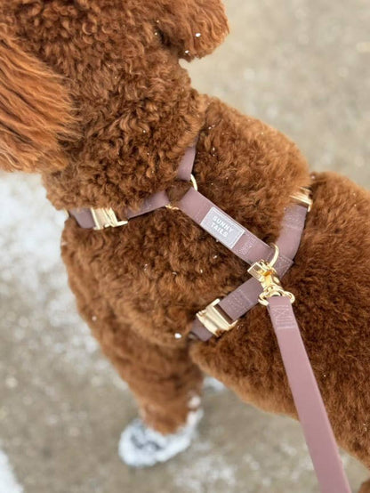 SUNNY TAILS - Wasserfestes Hundegeschirr - Espresso Brown - OSSO BLU