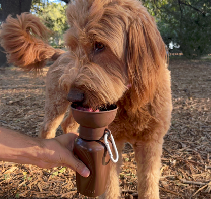 SPRINGLAND PETS - Limited Edition – „Twig Brown“ - OSSO BLU