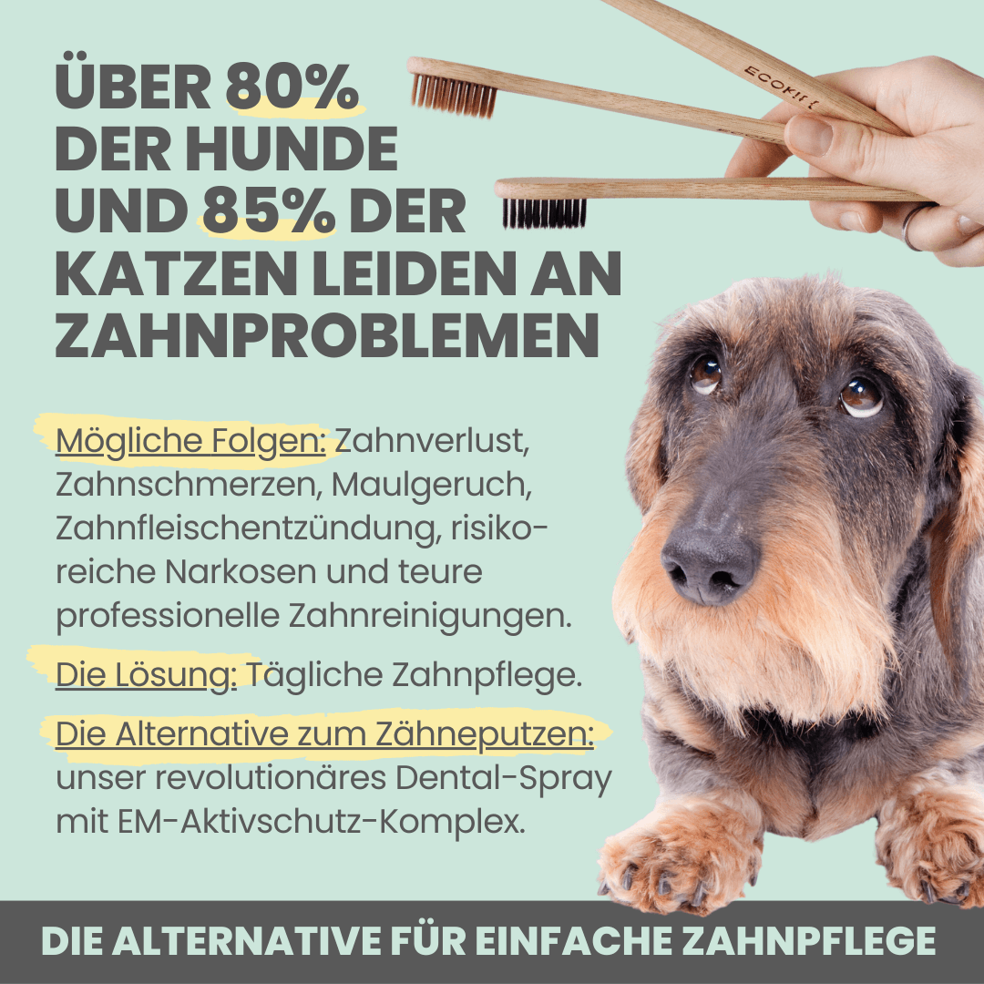 NOMS+ - Dentalspray für Hunde & Katzen – Natürliche Zahnpflege gegen Zahnstein & Mundgeruch - OSSO BLU